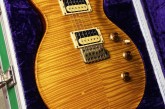 PRS Private Stock Limited Edition Howard Leese Golden Eagle-4.jpg